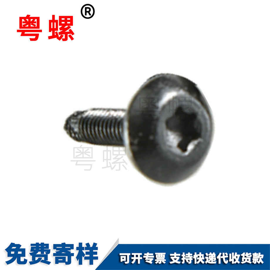 生產(chǎn)異形玉林非標(biāo)螺絲