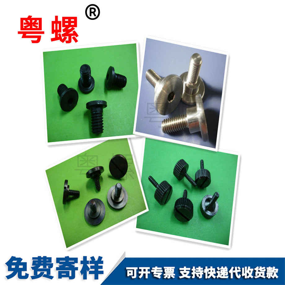 畢節(jié)內(nèi)六角畢節(jié)臺階螺絲