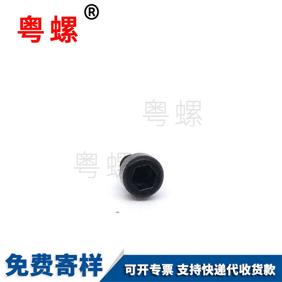 生產(chǎn)杯頭梅花西雙版納自攻螺絲