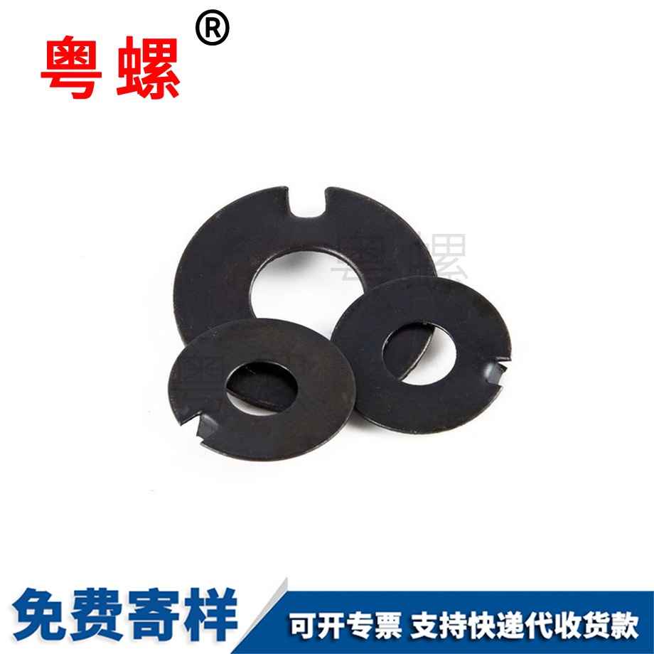 訂制外舌大理止動(dòng)墊圈