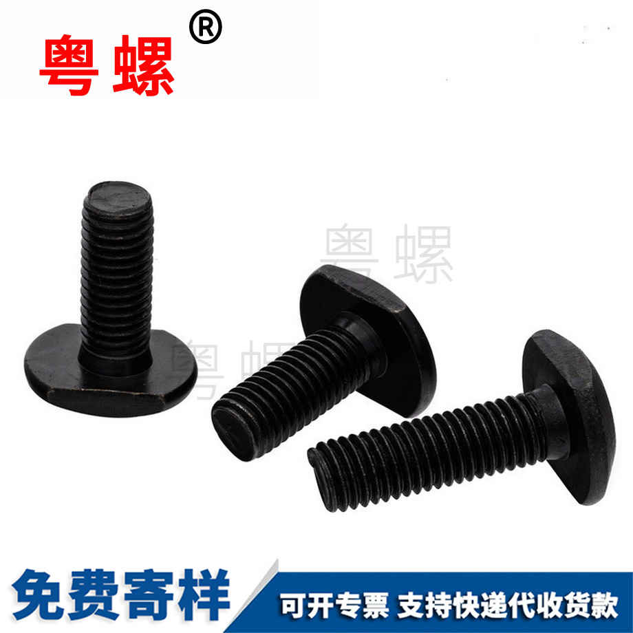 黔東南發(fā)黑T行槽用螺栓