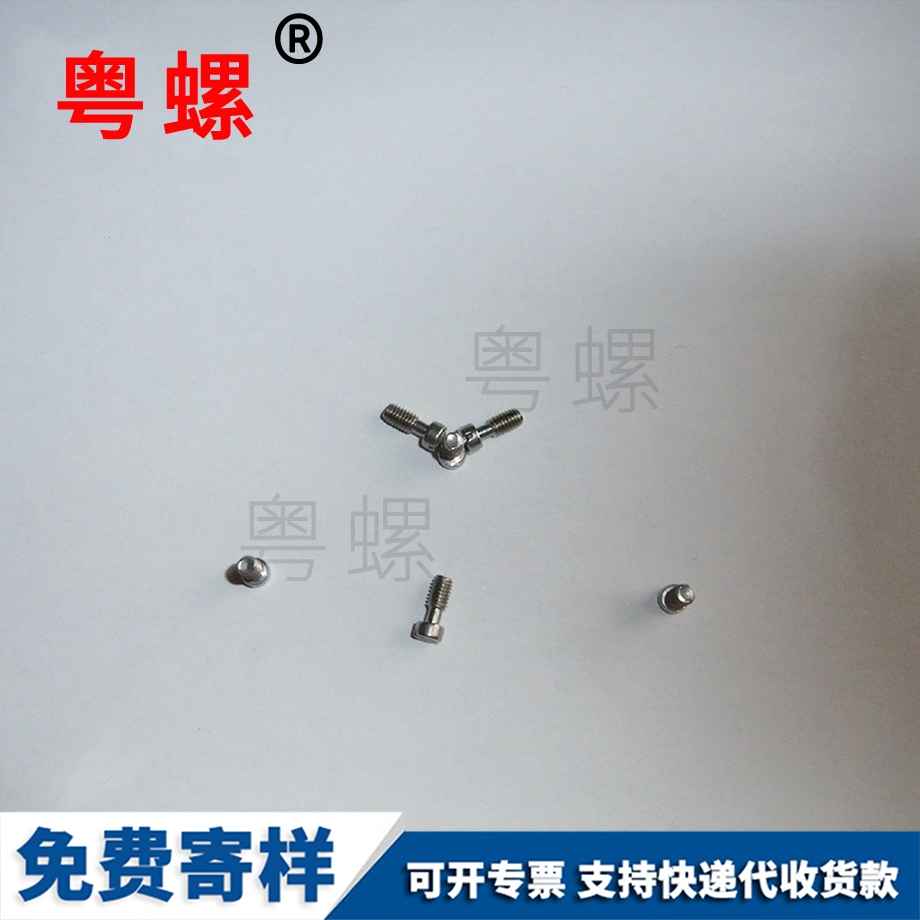 微型圓頭畢節(jié)小螺絲