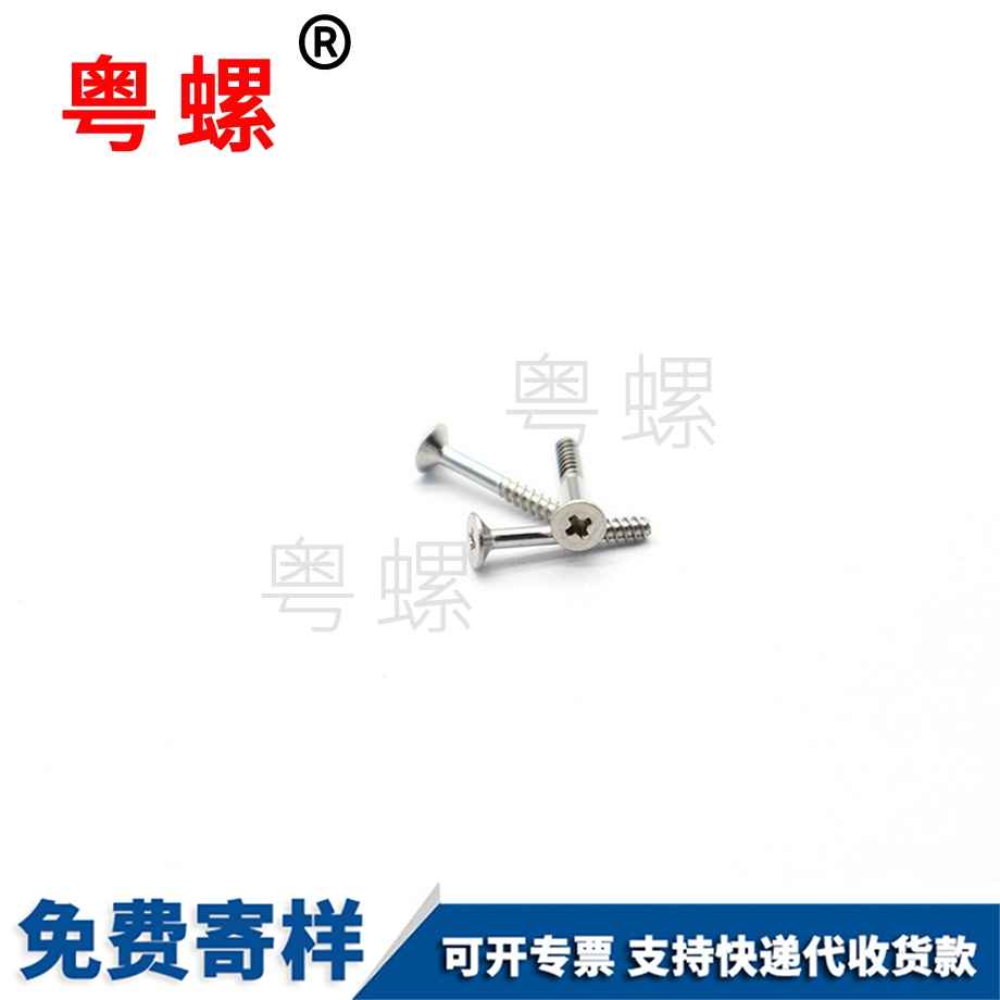 江蘇電子儀器小螺釘